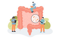 The Role of Gut Health in Energy, Immunity and Stress