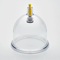 B1 (per 50 stuks, 6,8 cm) 