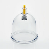 B2 (per 50 stuks, 5,8 cm)