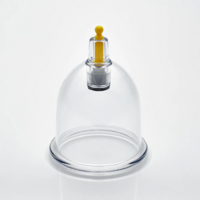 B3 (per 50 stuks, 5,1 cm)