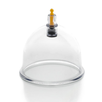 B1+ (per 50 stuks, 7,0 cm) (Uitverkocht)